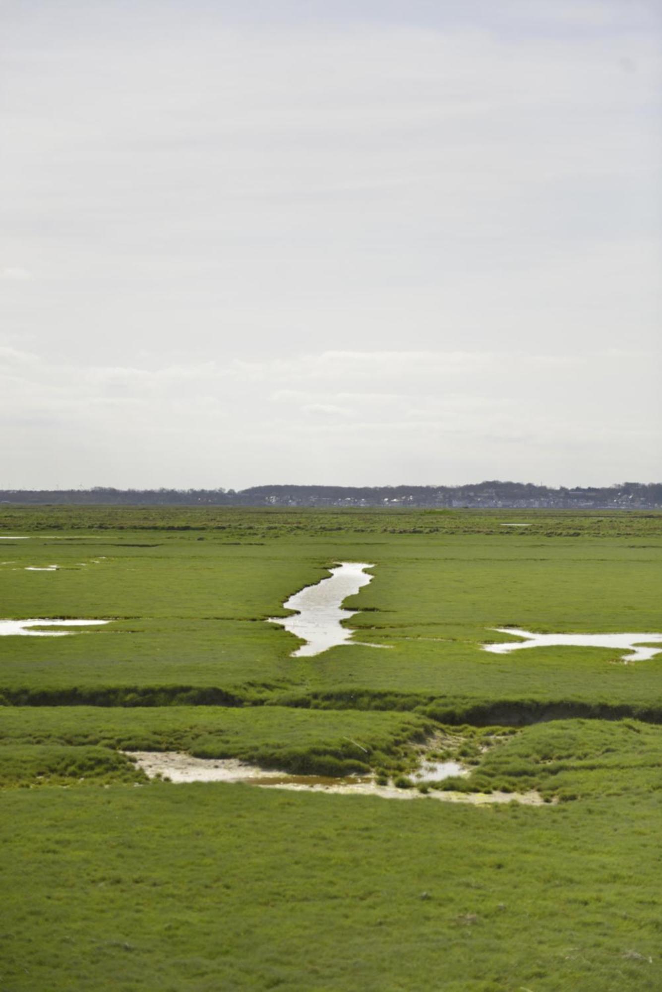 Le Cottage De La Baie - Vue Mer En Baie De Somme Woignarue エクステリア 写真