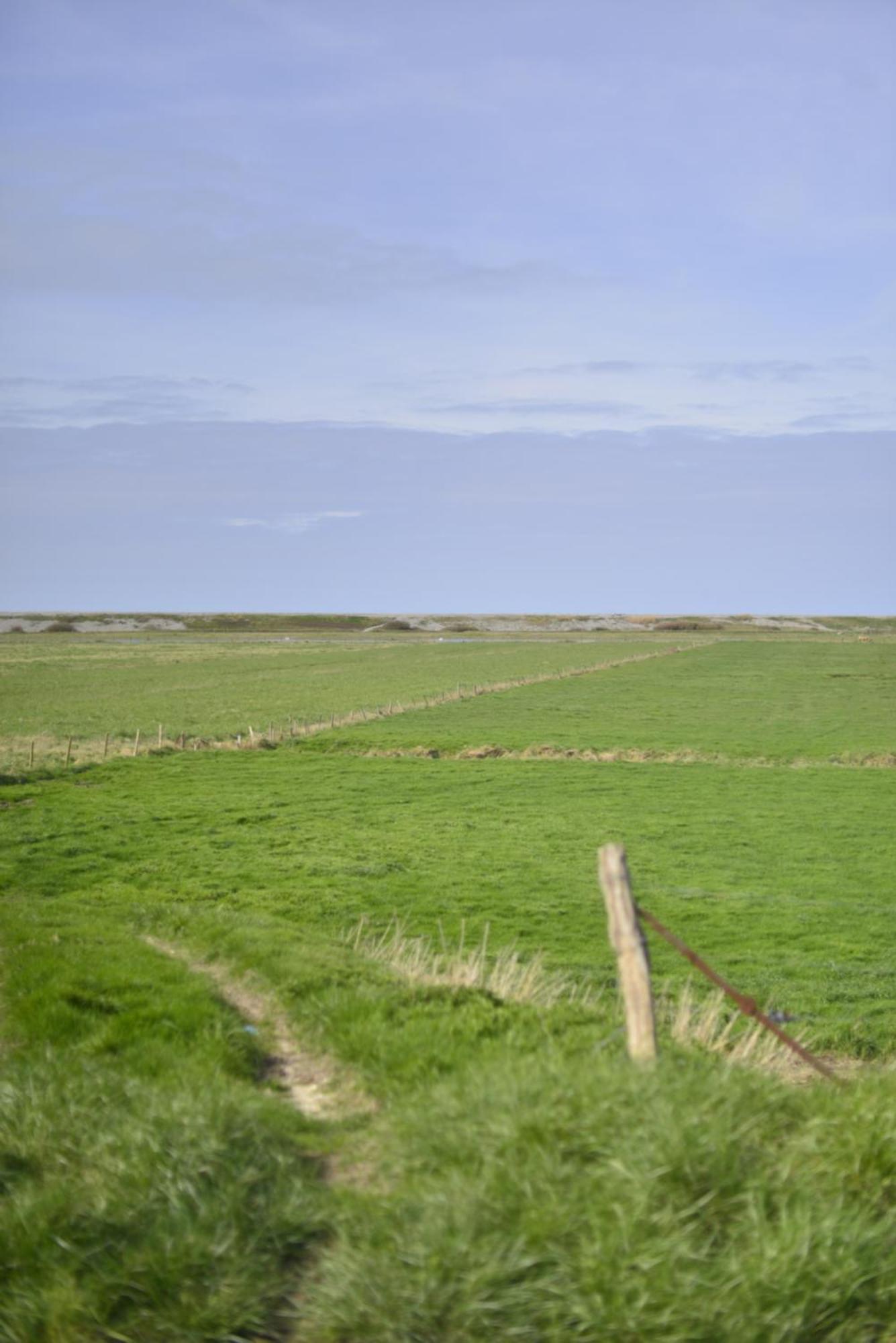 Le Cottage De La Baie - Vue Mer En Baie De Somme Woignarue エクステリア 写真