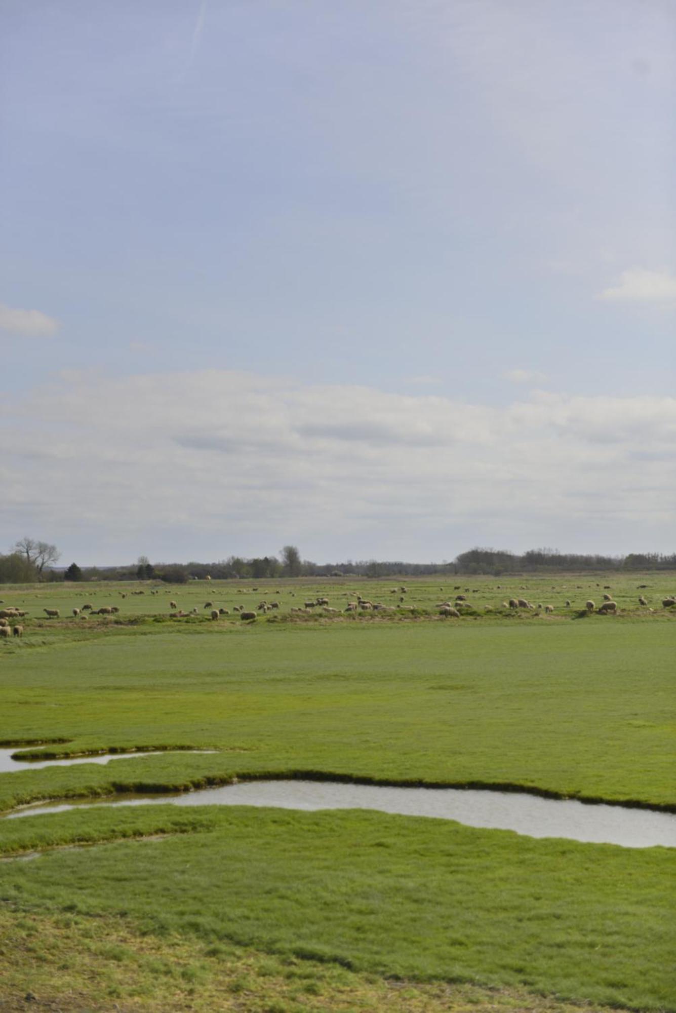 Le Cottage De La Baie - Vue Mer En Baie De Somme Woignarue エクステリア 写真